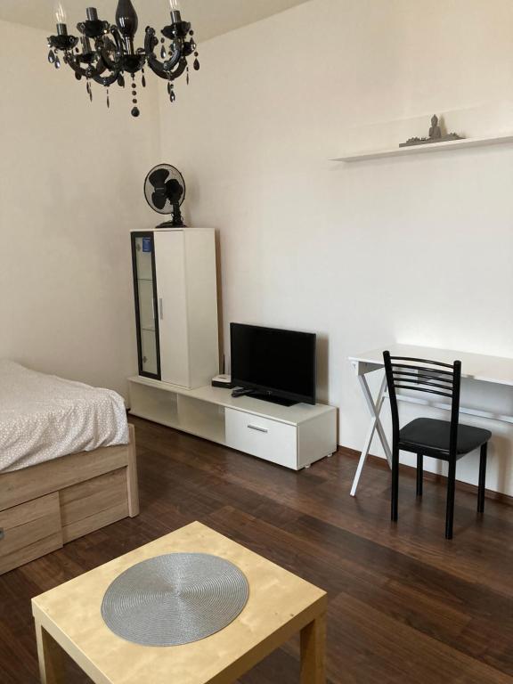 Studio Freyova room 6